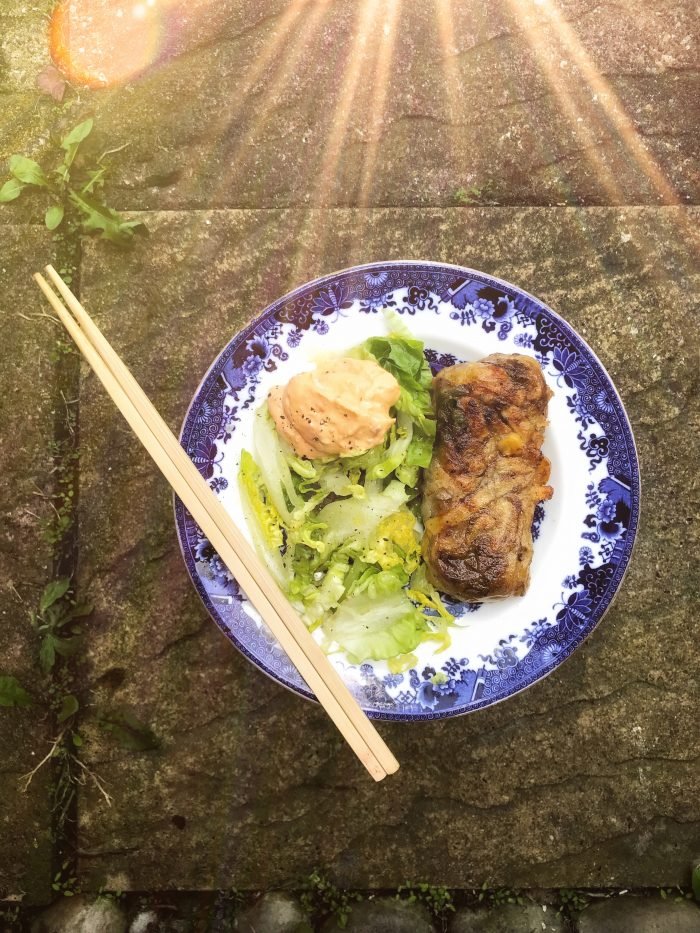 Involtini di riso con tagliatelle, verdure e agnello