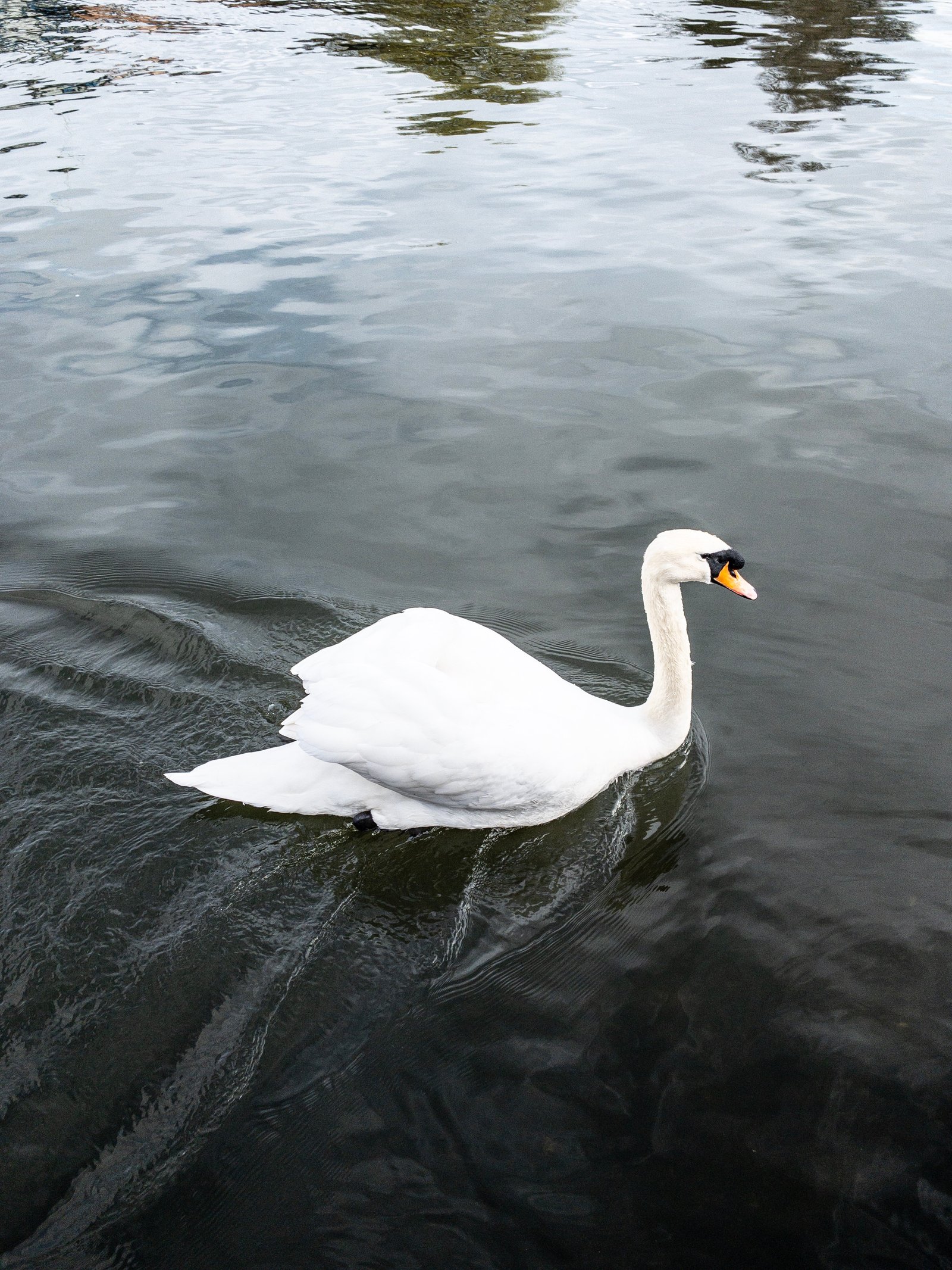 Henley on Thames, un bellissimo weekend fuoriporta